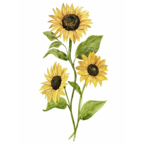 Meet your Posher, Tammy - Picture 2 of 2